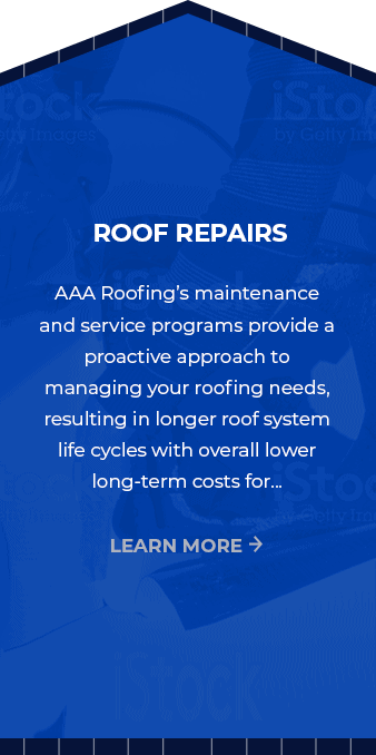 roof repairs back card