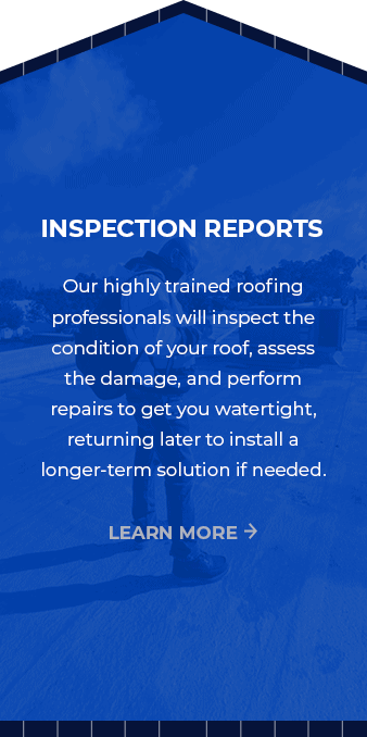 inspection reports back card