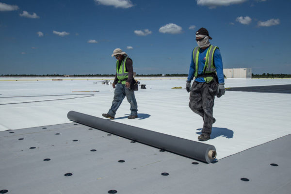single ply tpo roof