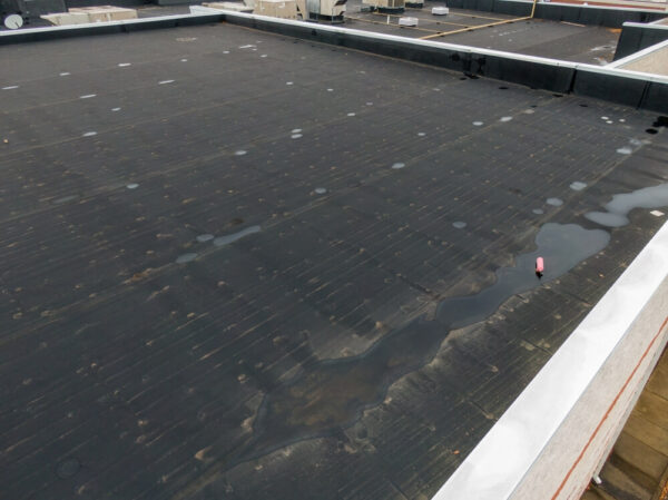 Ponding water on a California commercial roof can lead to expensive repairs over time. 